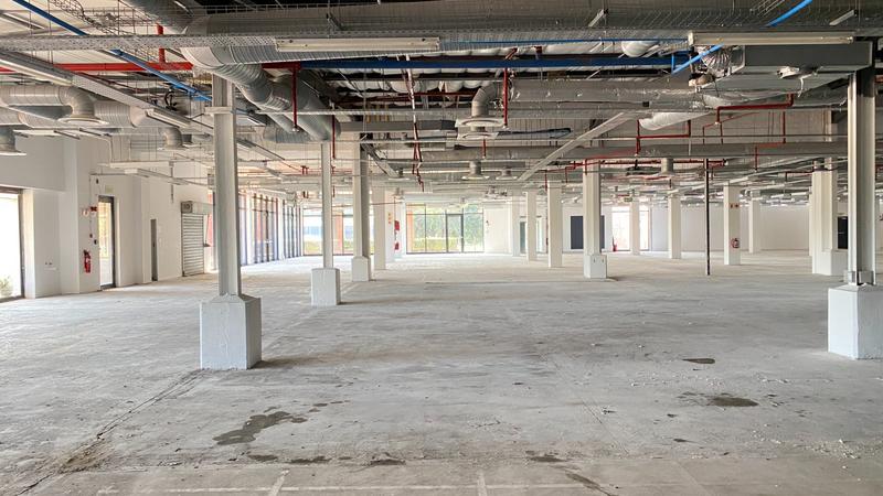 To Let commercial Property for Rent in Observatory Western Cape
